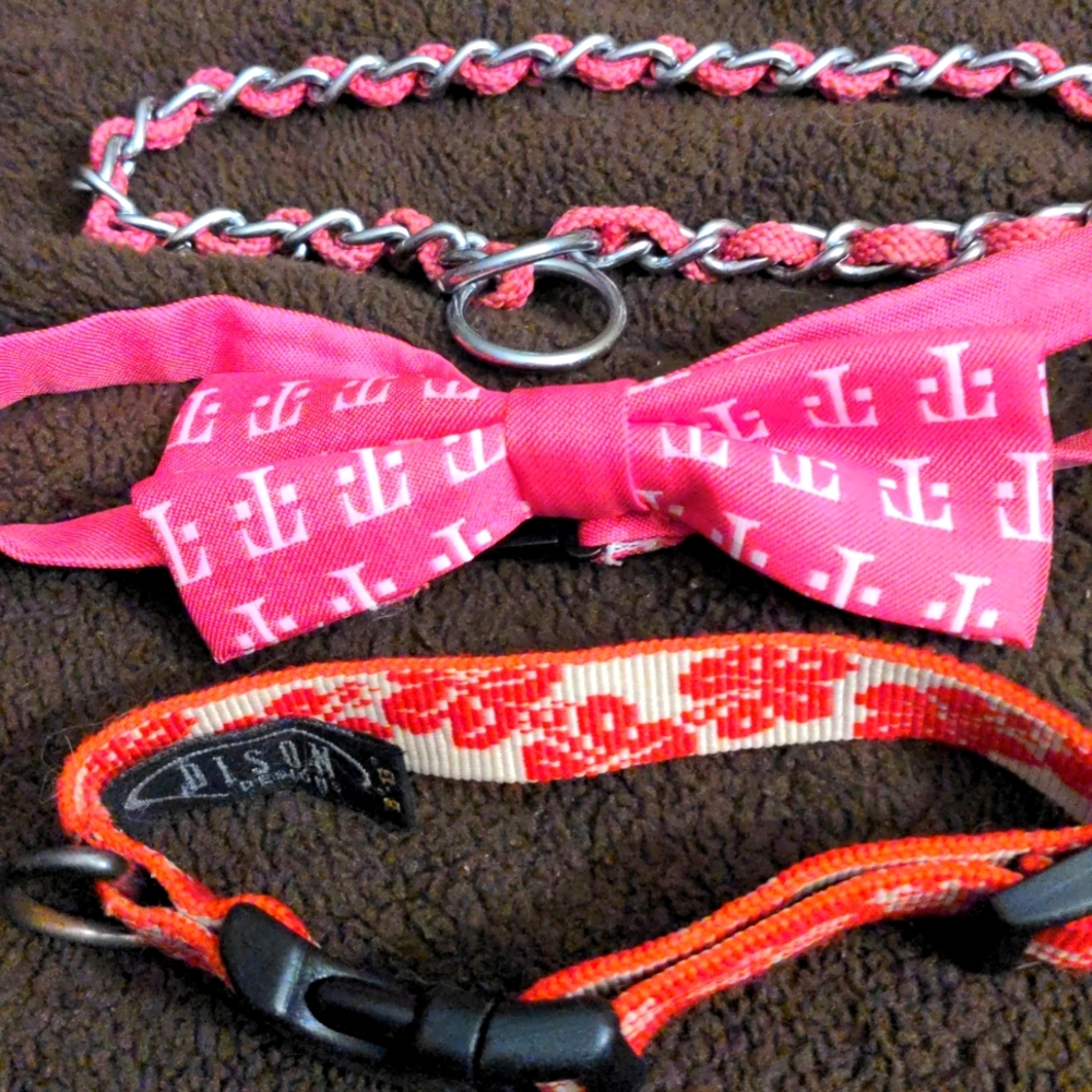 ❤️ 3 Small Female Dog Collars
